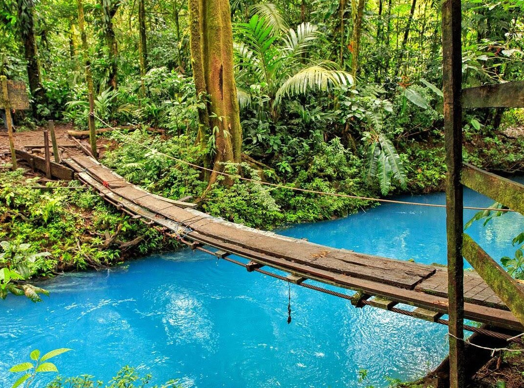 Blue Horizon Transfers and Tours