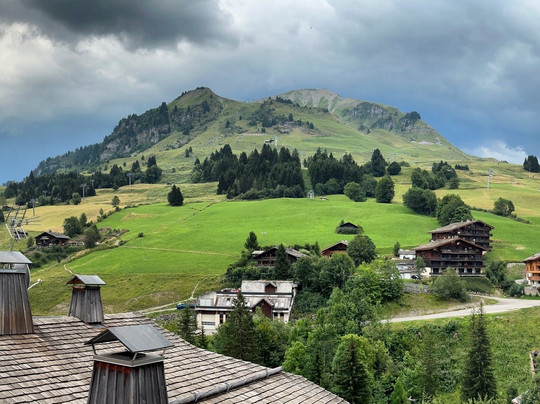 Hotel Les Cimes主图