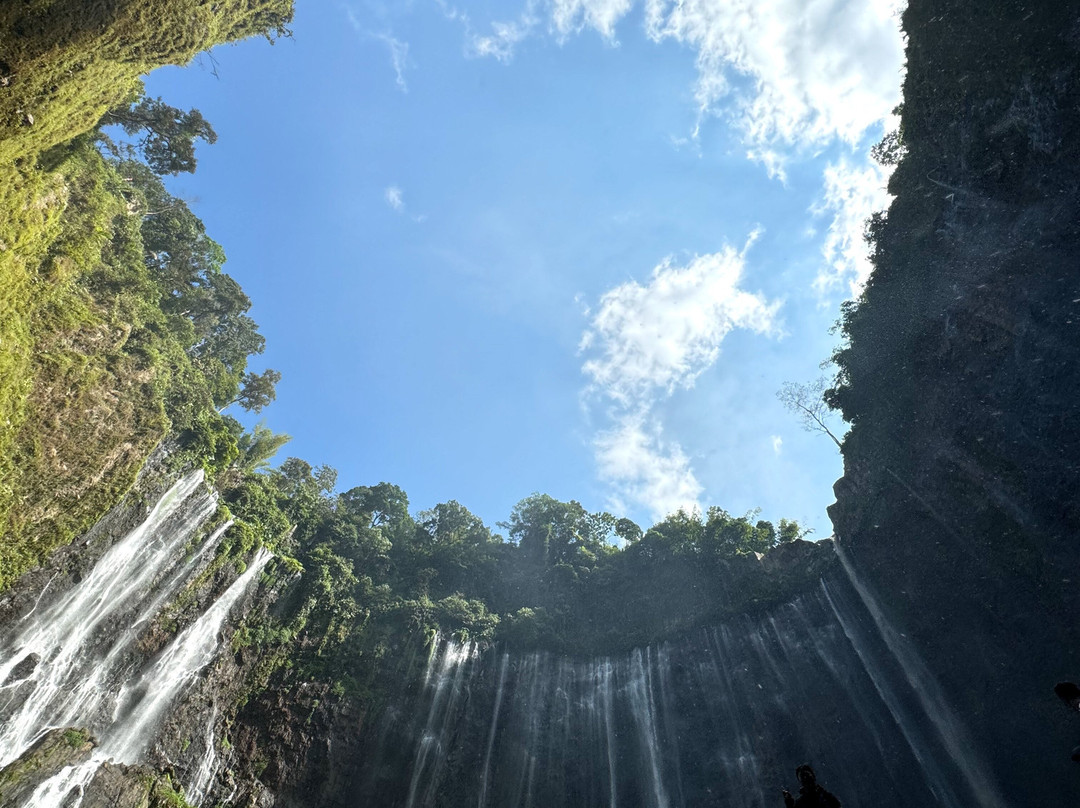 Bromo Taxi景点图片