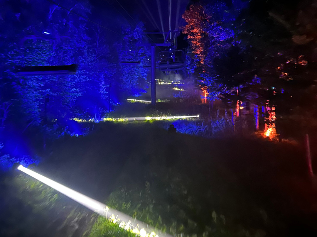 L'oiseau Mécanique-Petite-Riviere-Saint-Francois必去景点