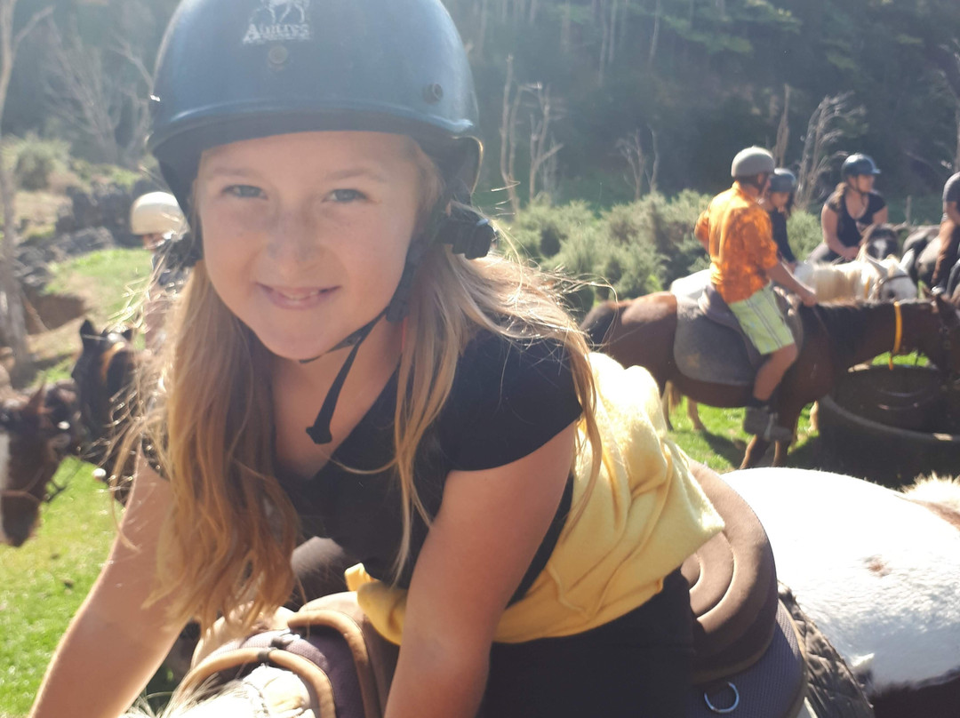 Karamu Trail Track-汉密尔顿必去景点