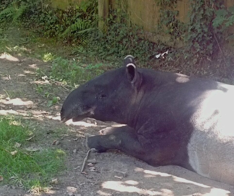 Zoo Cerza景点图片