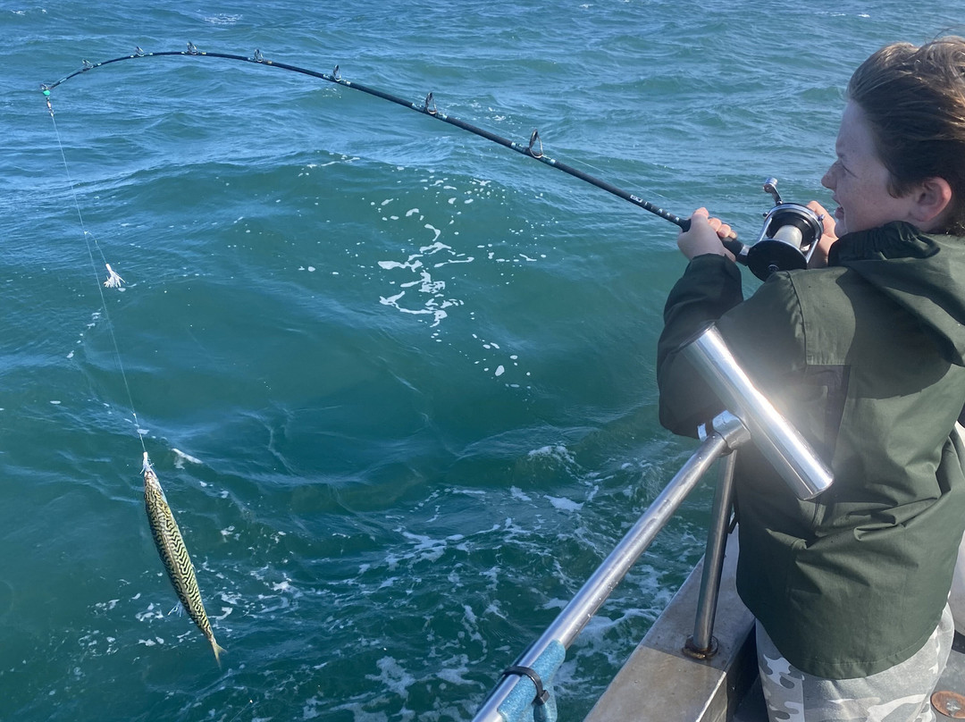 Fishing Trips From Rock-Rock必去景点