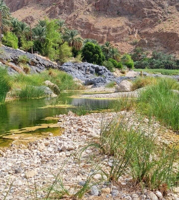 OMAN COMPASS TOURS-马斯喀特必去景点