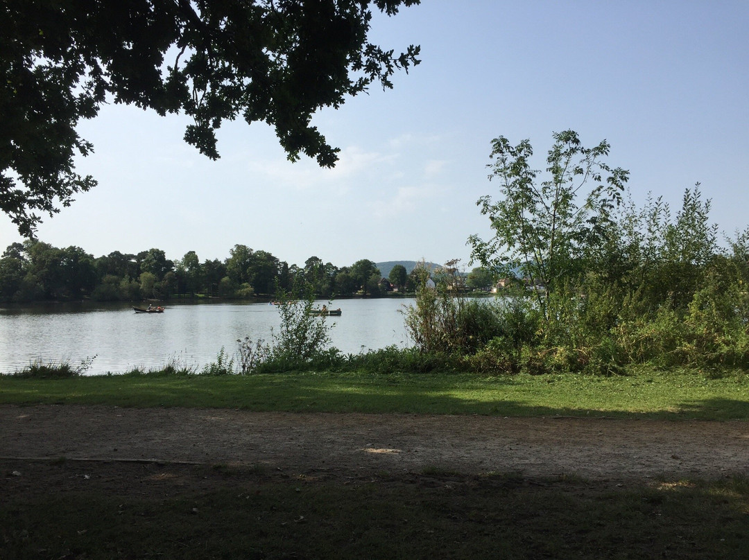 Petersfield Lake景点图片