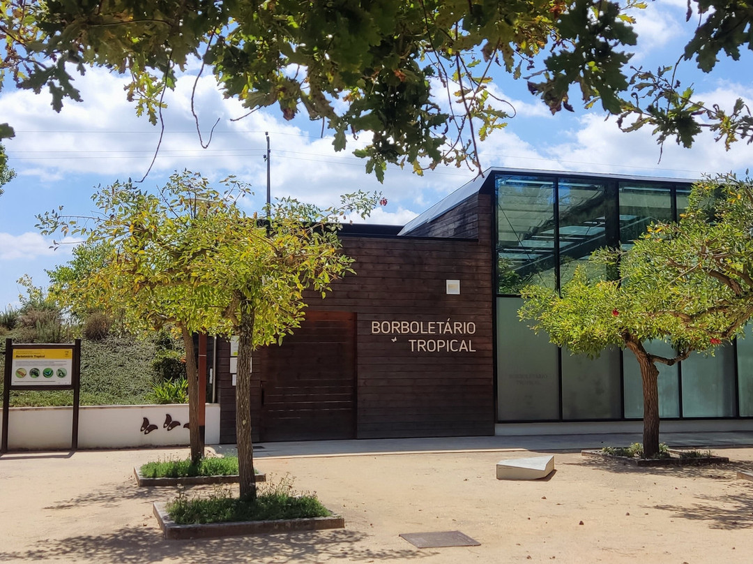Borboletário Tropical景点图片