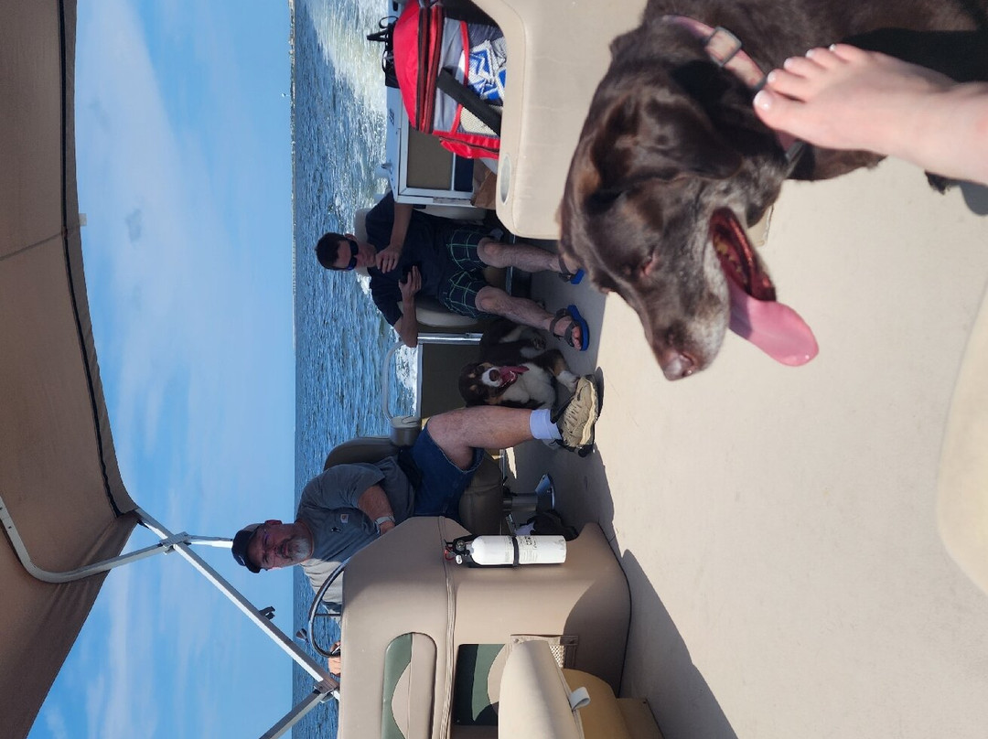 Charlie’s Boat Rentals景点图片