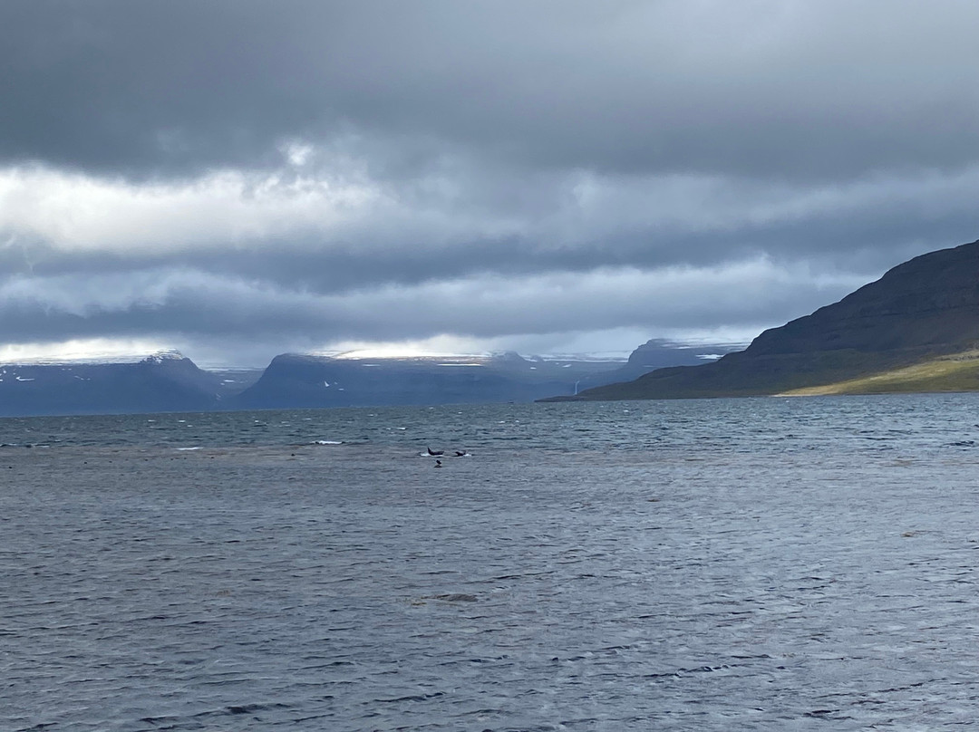 Seal Lookout-伊萨菲厄泽必去景点