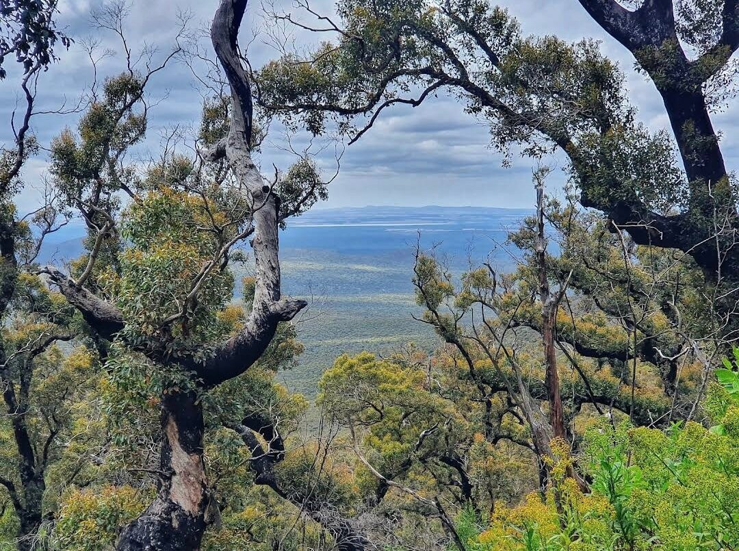 Mt Toolbrunup-Stirling Range National Park必去景点