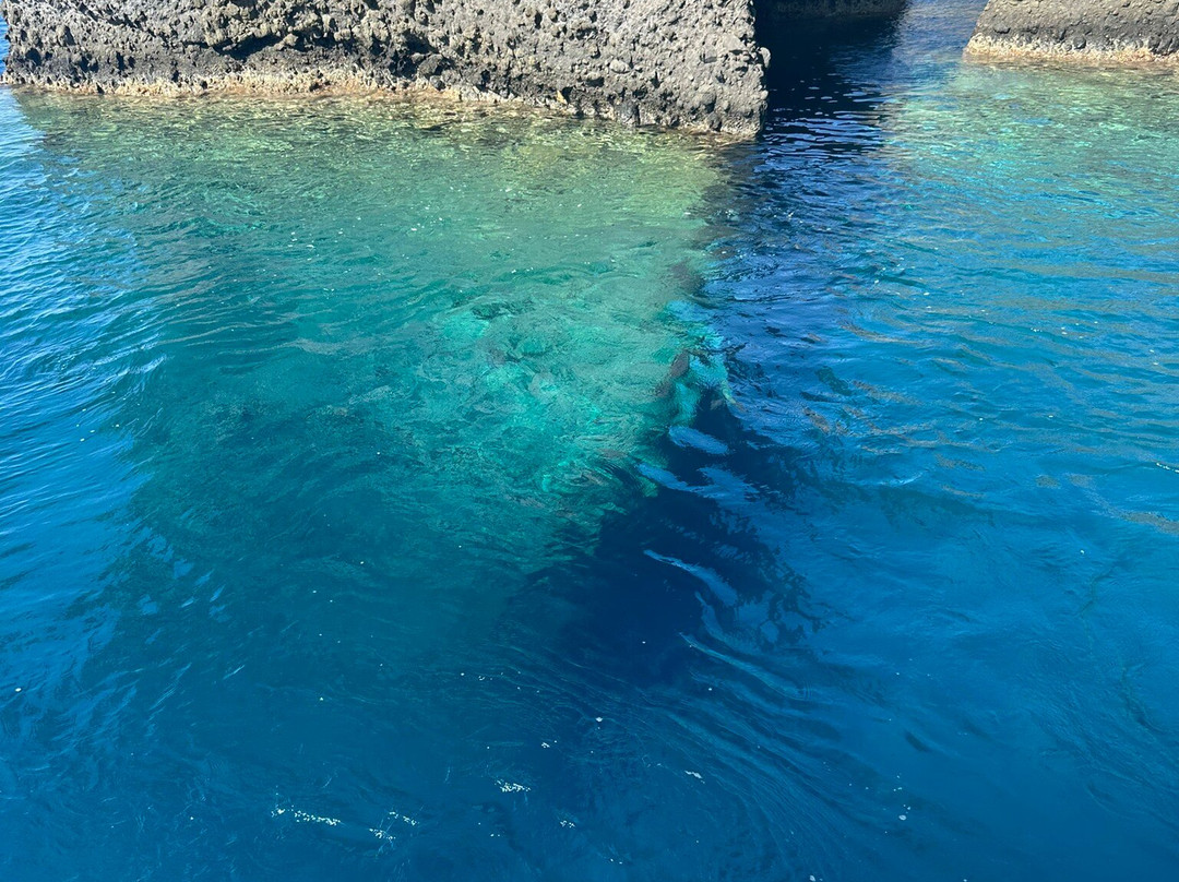 Grand Little Miracles Sailing-维查德必去景点