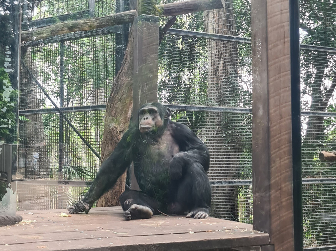 Rockhampton Zoo-罗克汉普顿必去景点