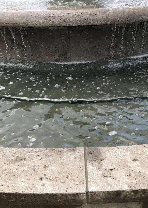 Schwanenbrunnen-Zwickau必去景点