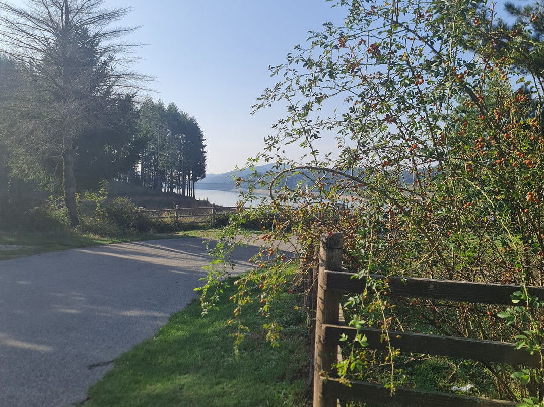 Agriturismo Il Lago Del Passante主图