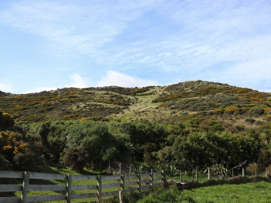 East Harbour Regional Park景点图片