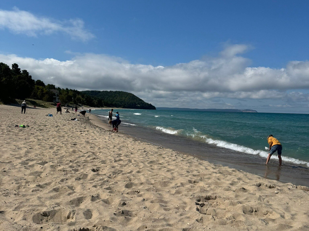 Van's Beach景点图片