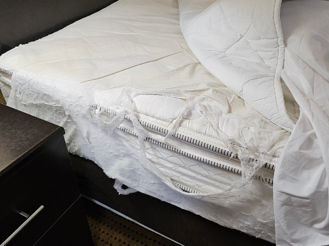 Quality Inn & Suites主图