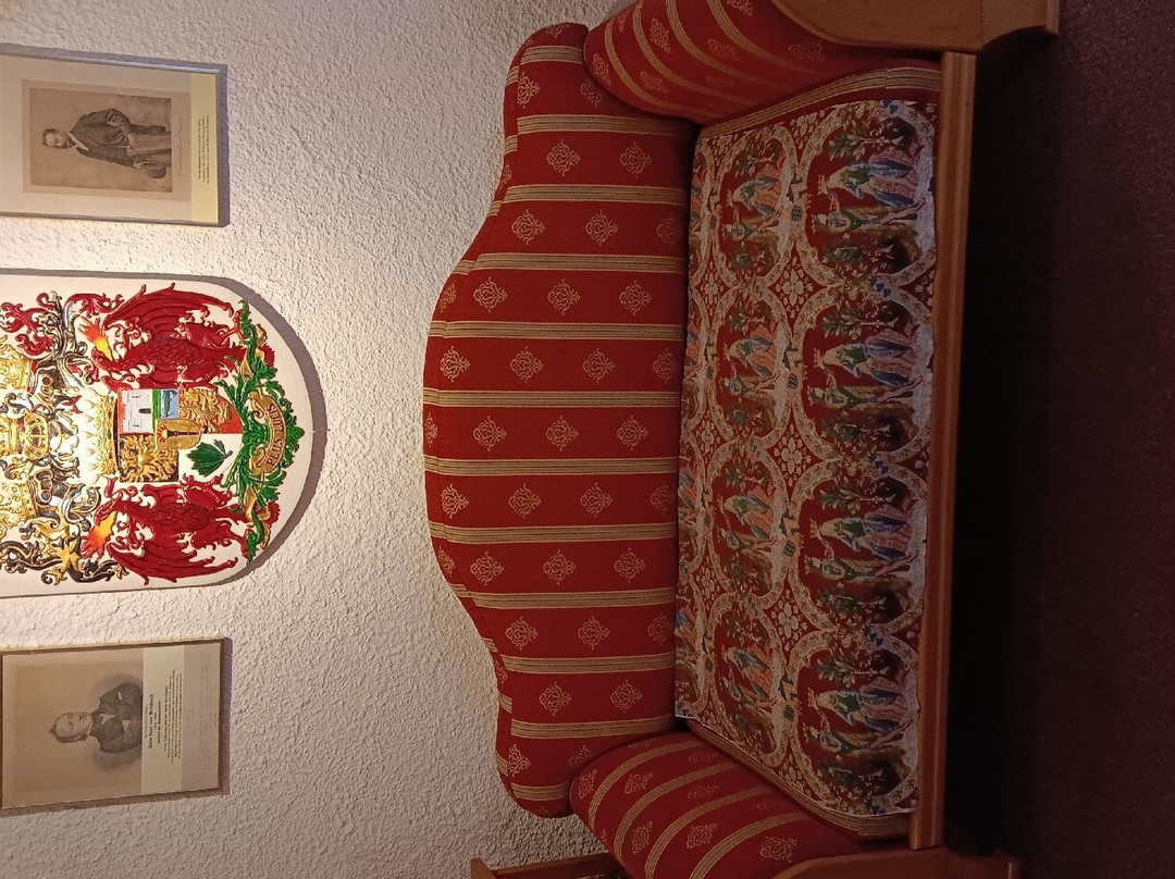 Auer von Welsbach Museum景点图片