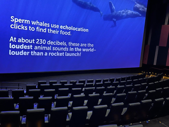 Amc Pembroke Lakes 9-彭布罗克派恩斯必去景点