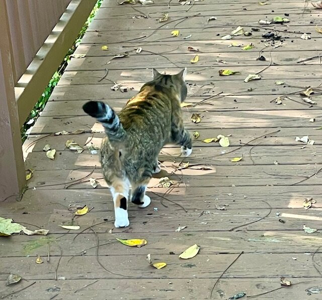 The Barn Inn Bed and Breakfast主图