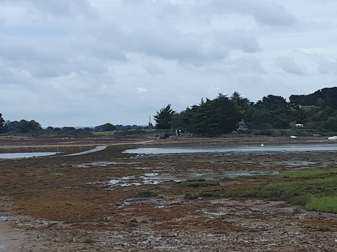 Île Tascon景点图片