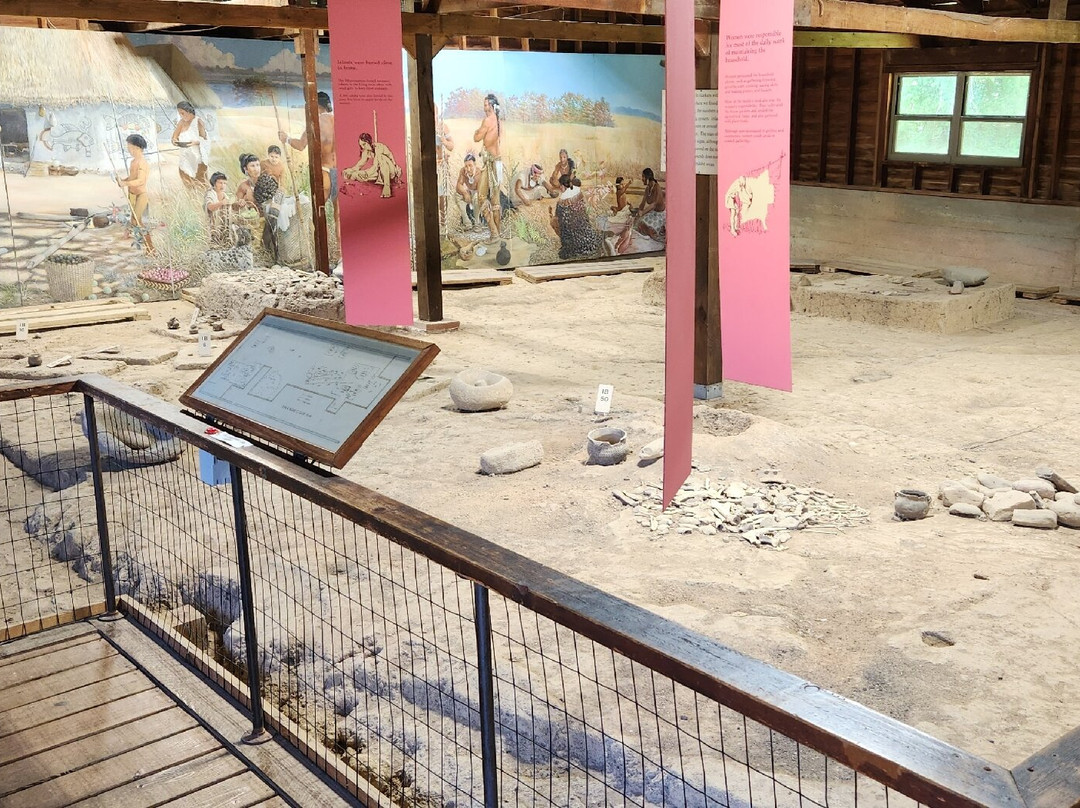 Wickliffe Mounds State Historic Site景点图片