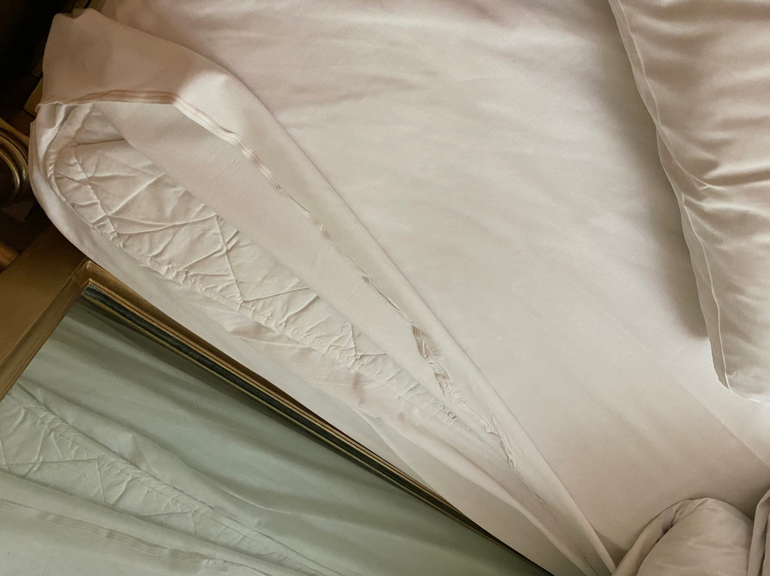 The Priest House by the River主图