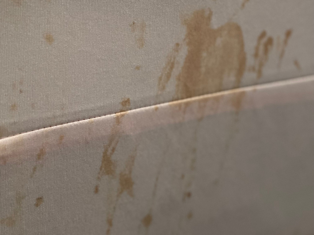 Comfort Suites Amish Country主图