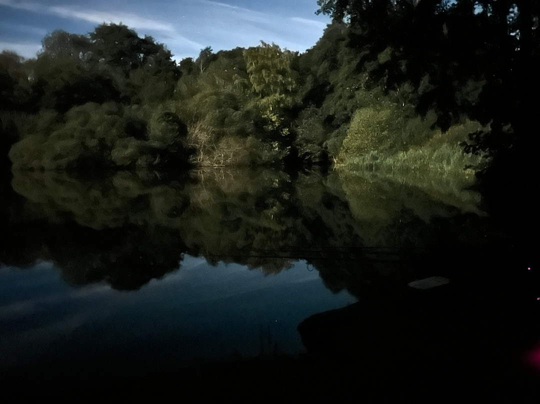 Alders Farm Fishery景点图片