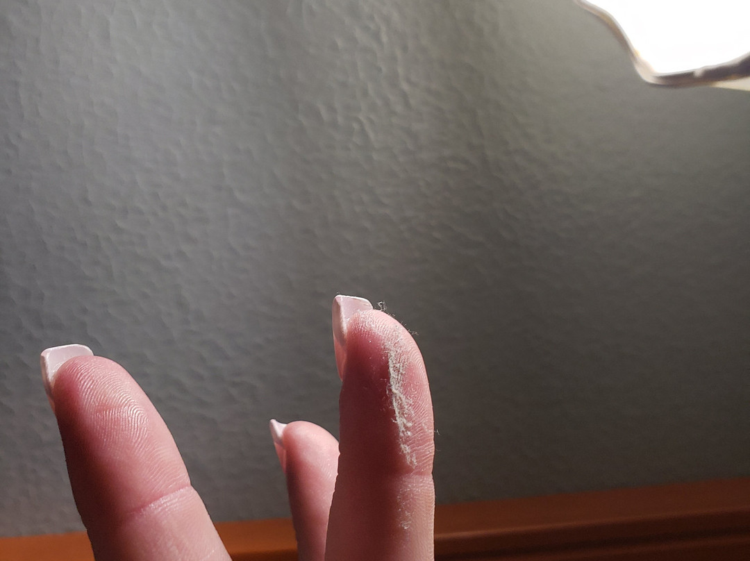 Quality Inn & Suites主图