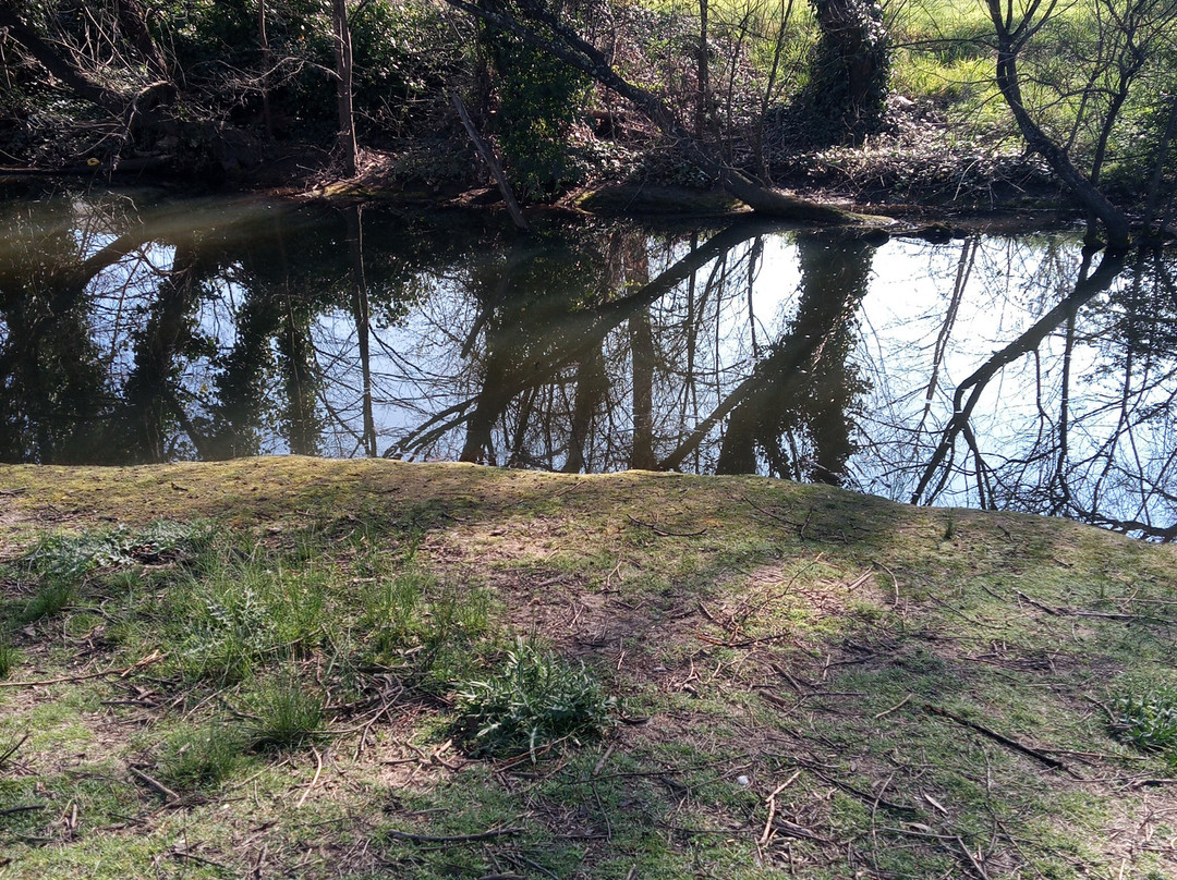 Braidwood Torpys Eco Motel主图