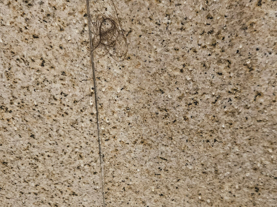 Hilton Garden Inn Halifax Airport主图