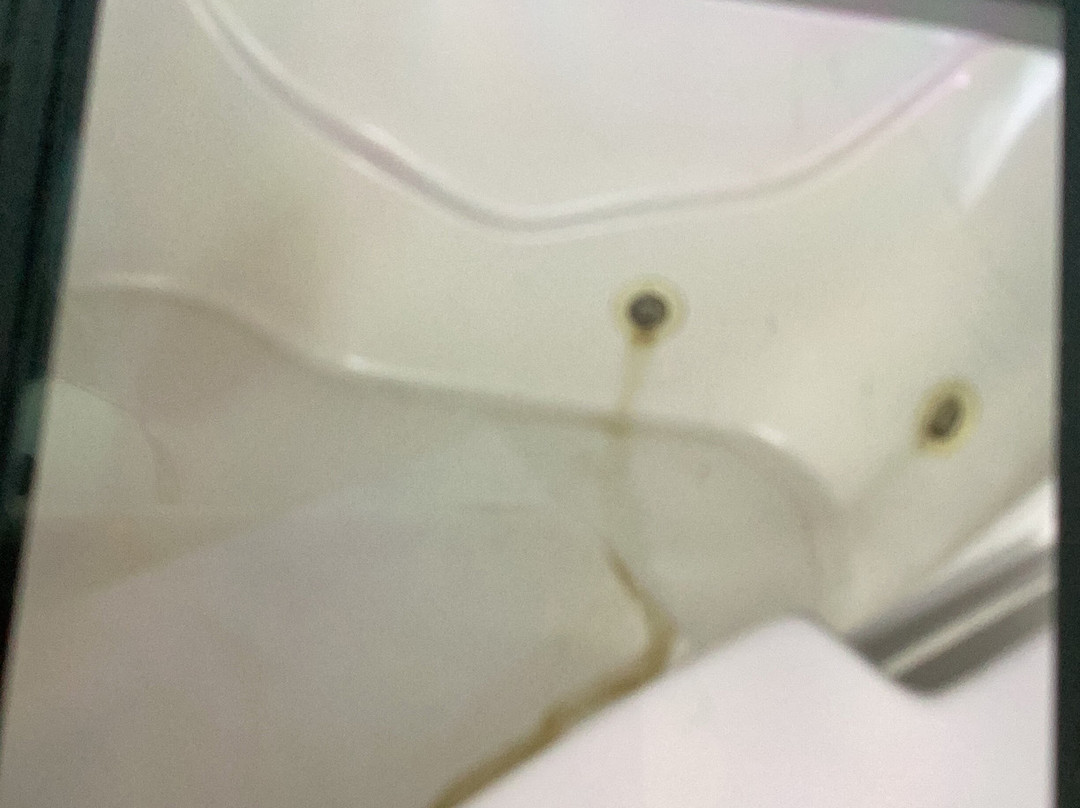 Quality Inn & Suites Hardeeville - Savannah North主图