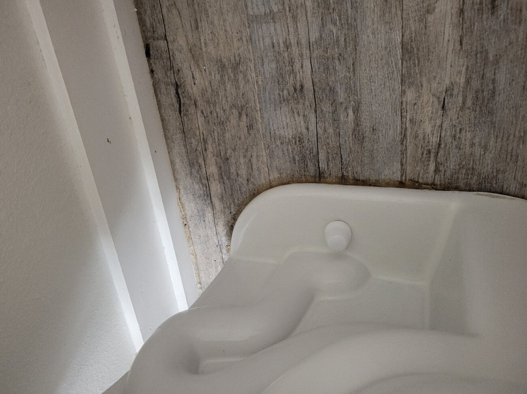 Hotel Pensacola主图