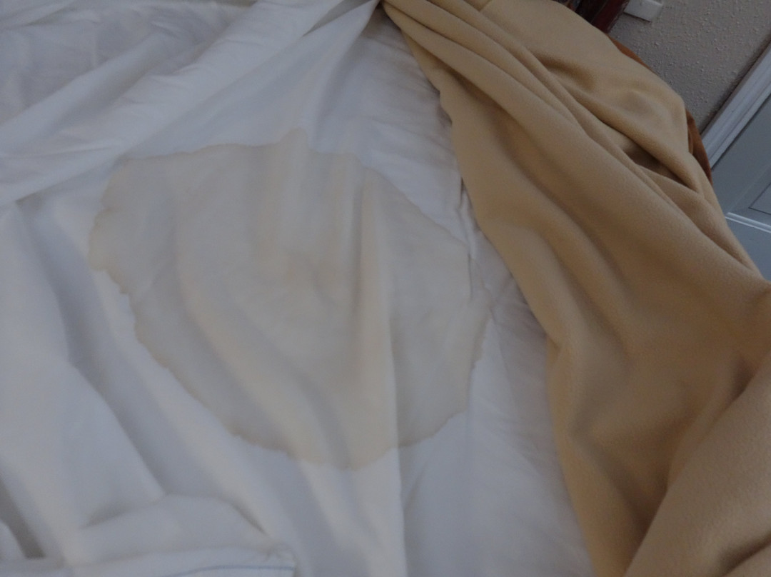 Motel 6 Campbellford主图