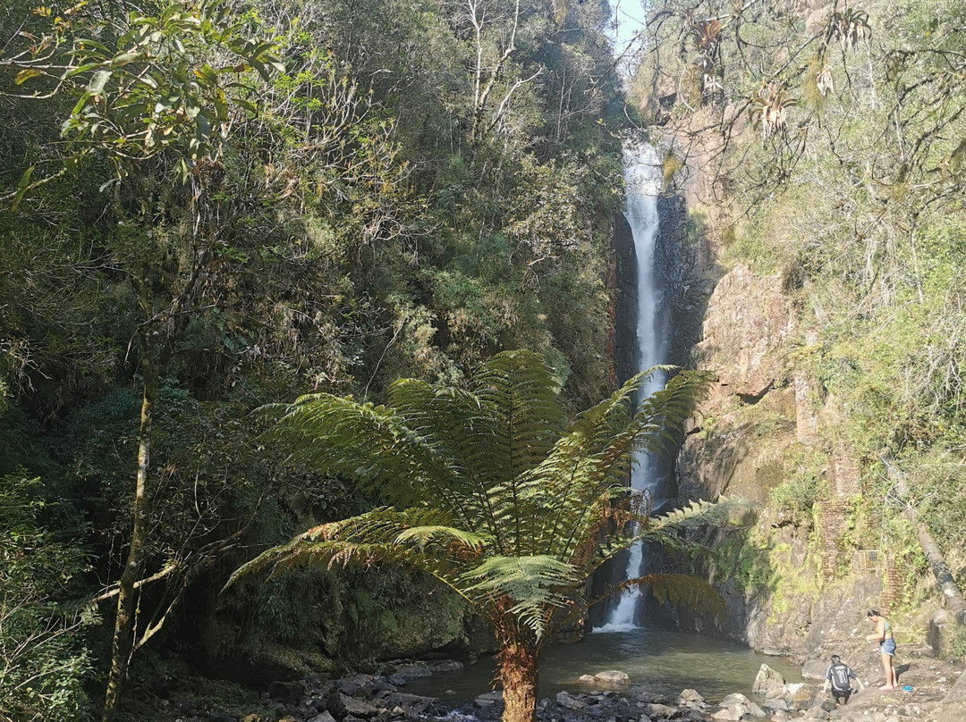 Cascata Paraiso-Campo Alegre必去景点