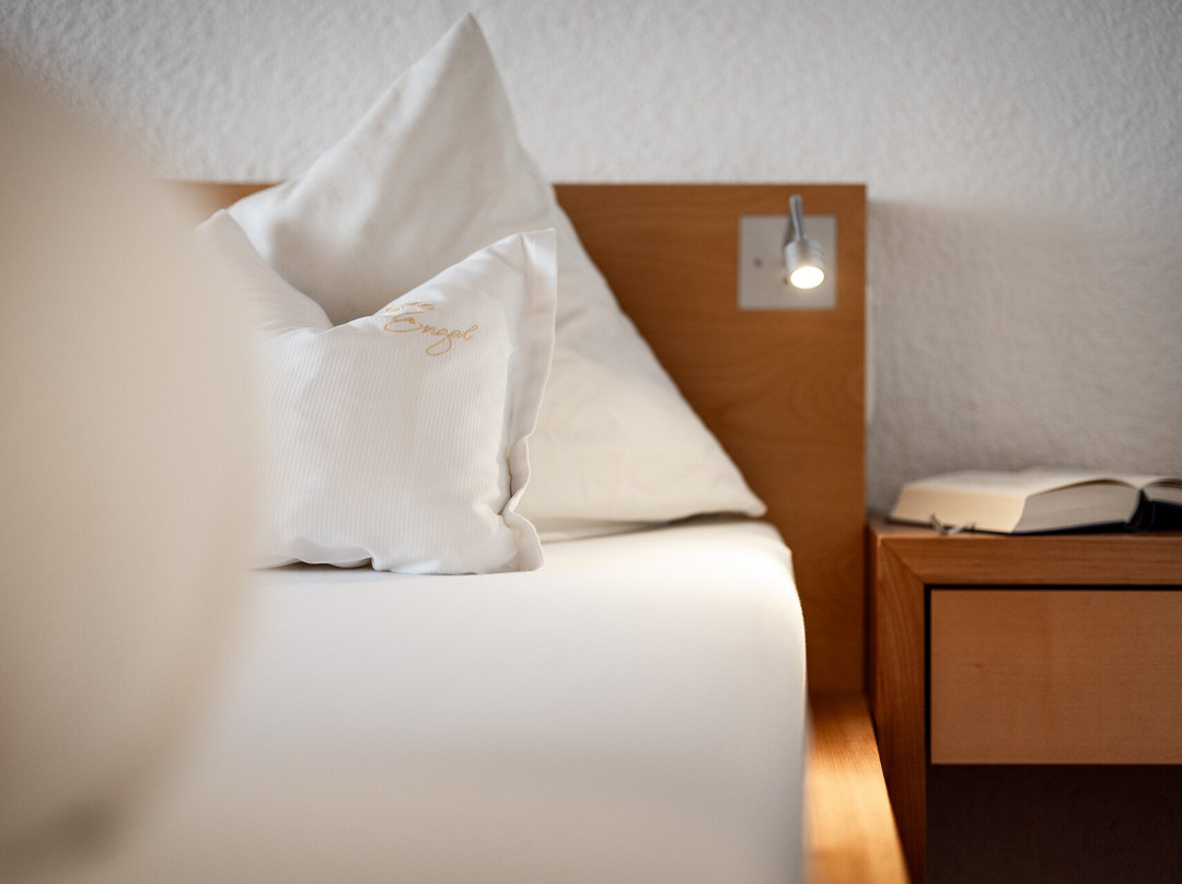 Entdeckerhotel Engel主图