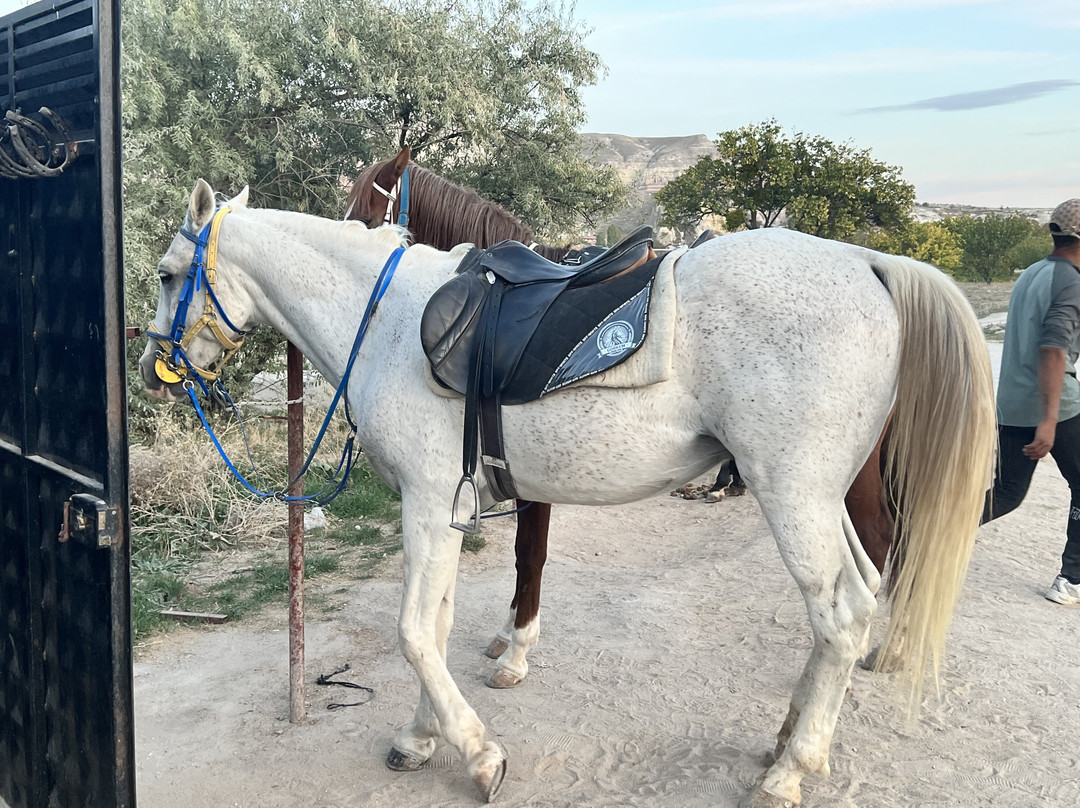Gorkem Horse Ranch景点图片