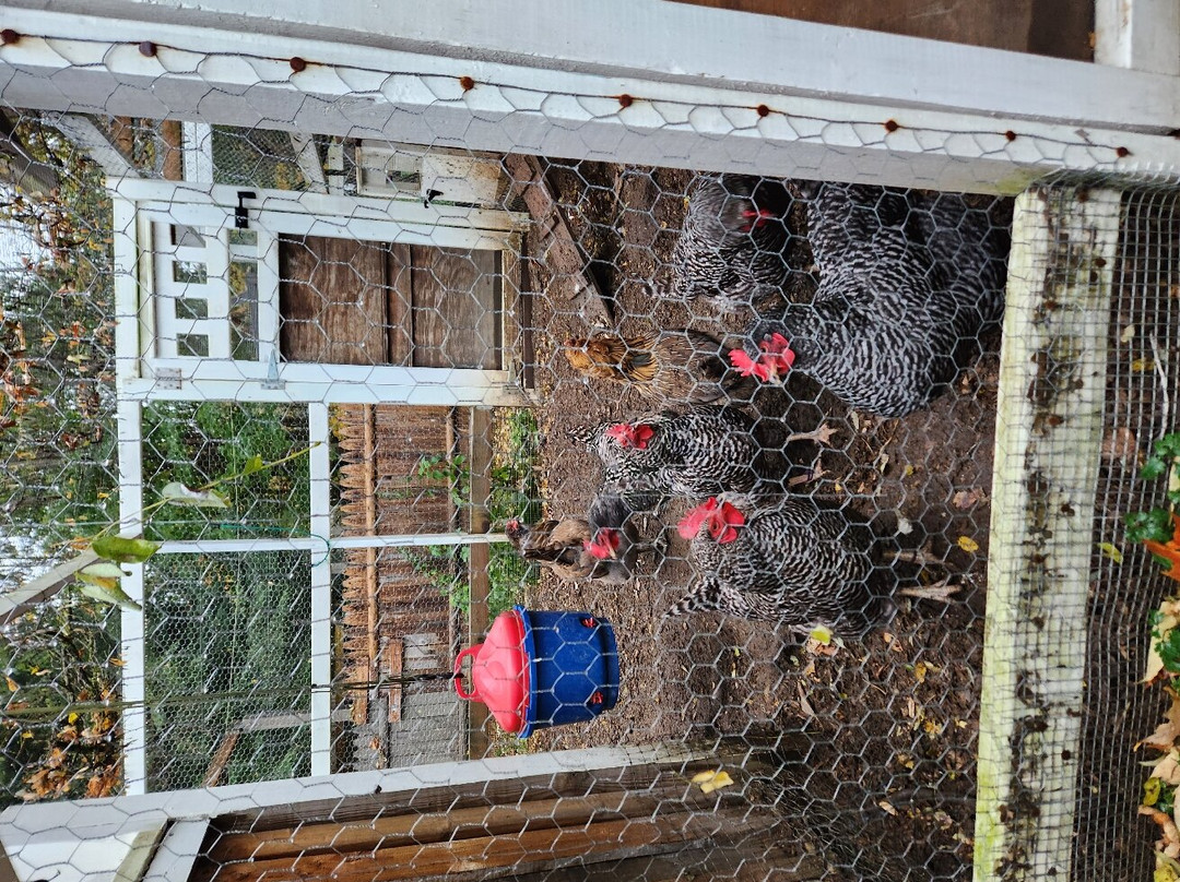 Cooperstown Bed and Breakfast主图