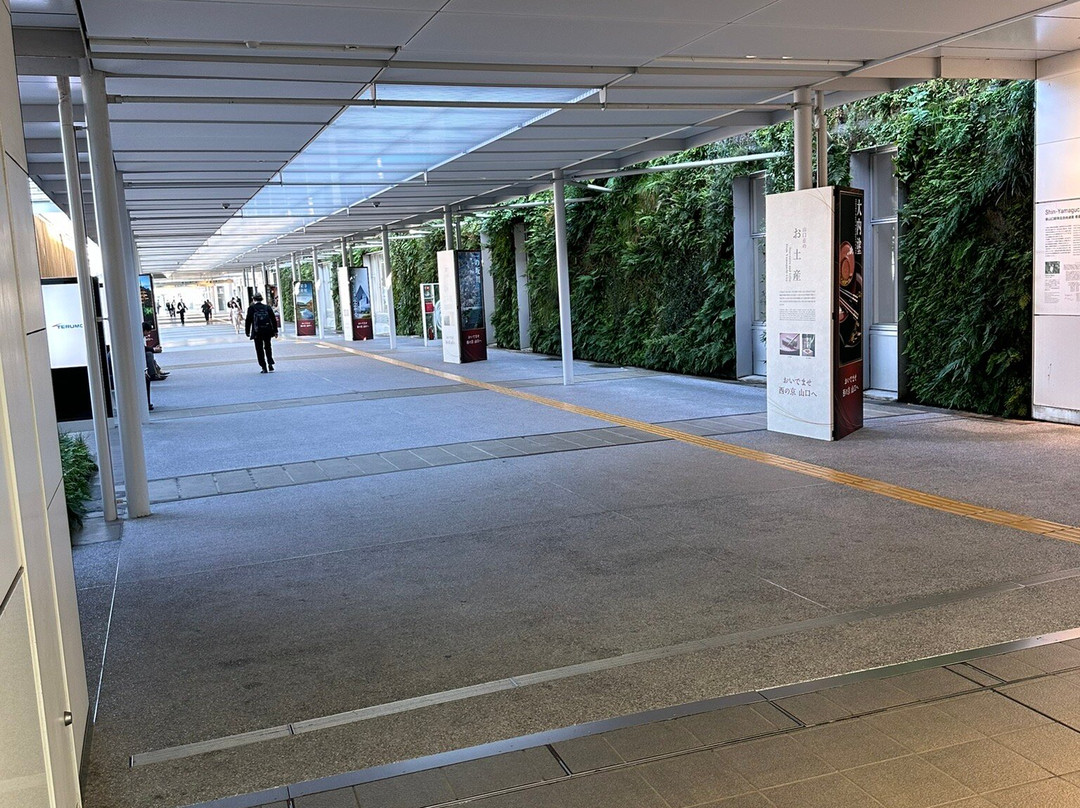 Shinyamaguchi Station North And South Passage景点图片
