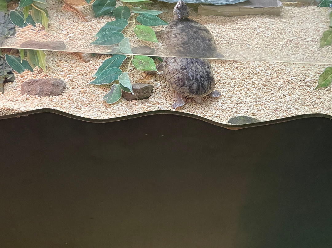 Hastings Aquarium景点图片