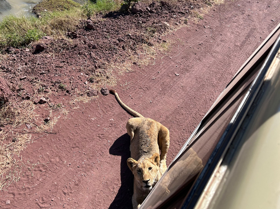 Zan Isaac Tours-桑给巴尔市必去景点