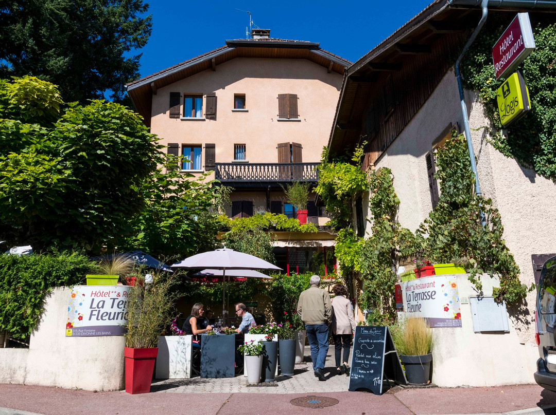 Logis Hôtel la Terrasse Fleurie主图