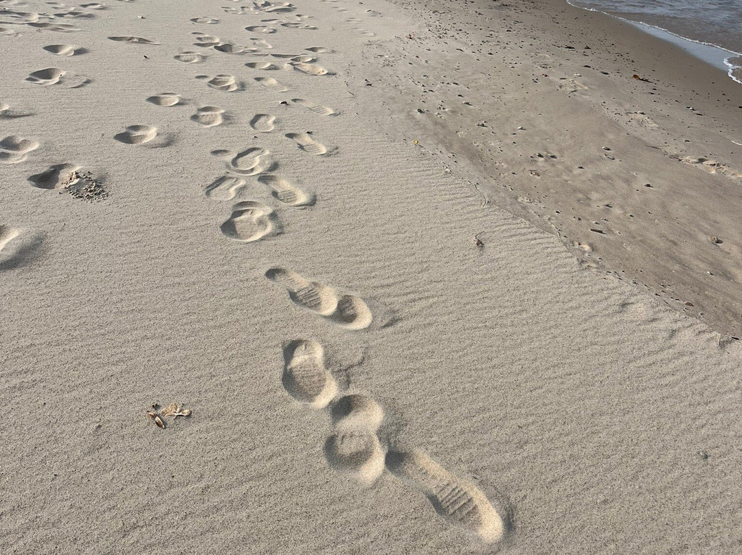 Warren Dunes State Park-Bridgman必去景点