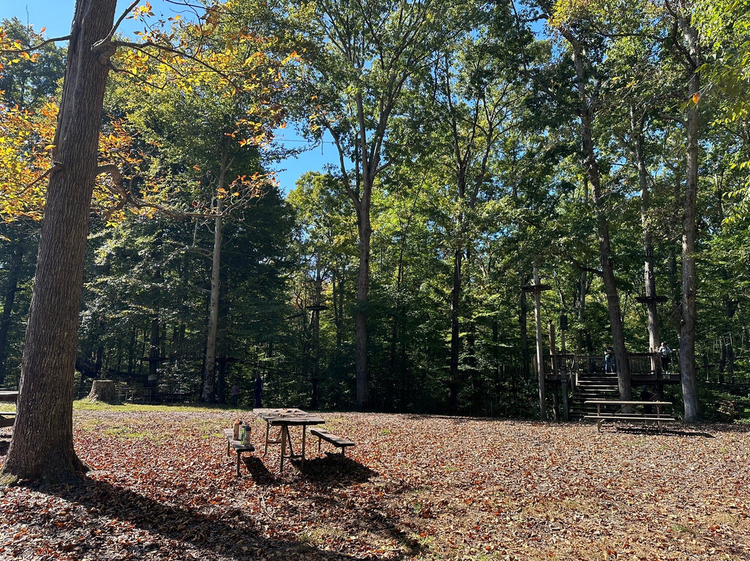Tree Top Adventures-London必去景点
