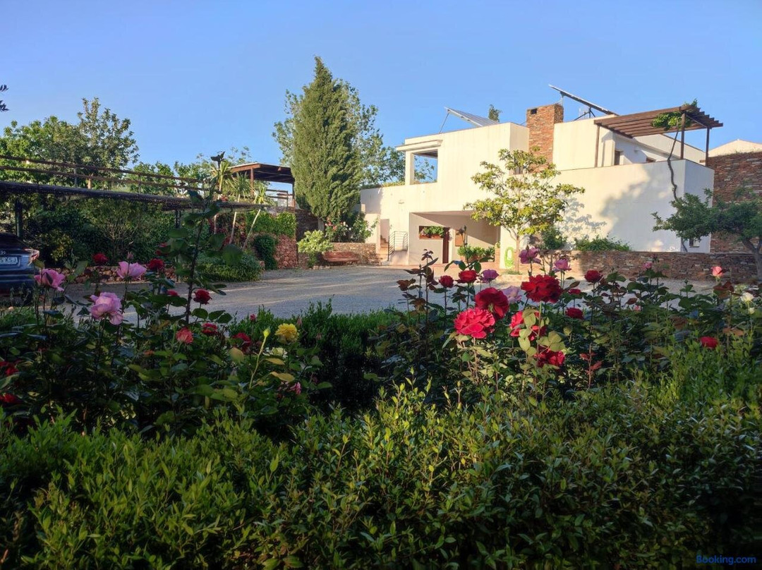 El Domingo en El Valle