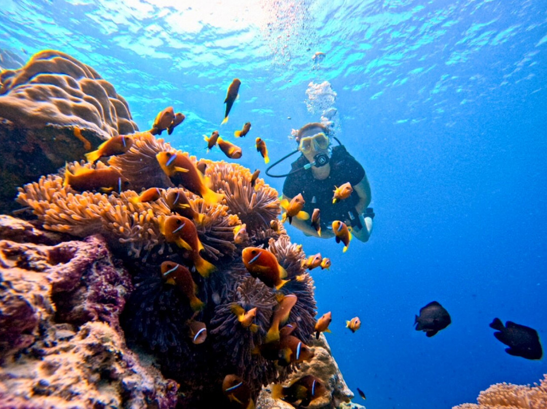 Sabba Beach Suite主图