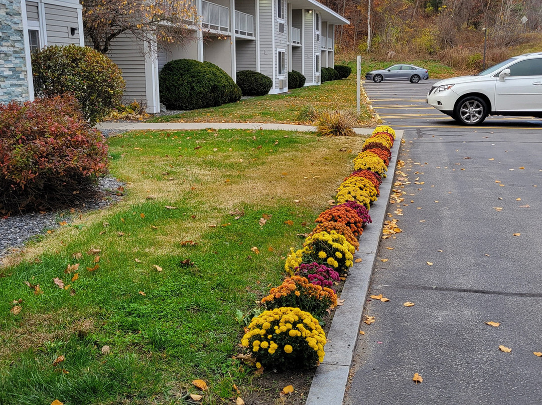 斯普林菲尔德智选假日酒店主图