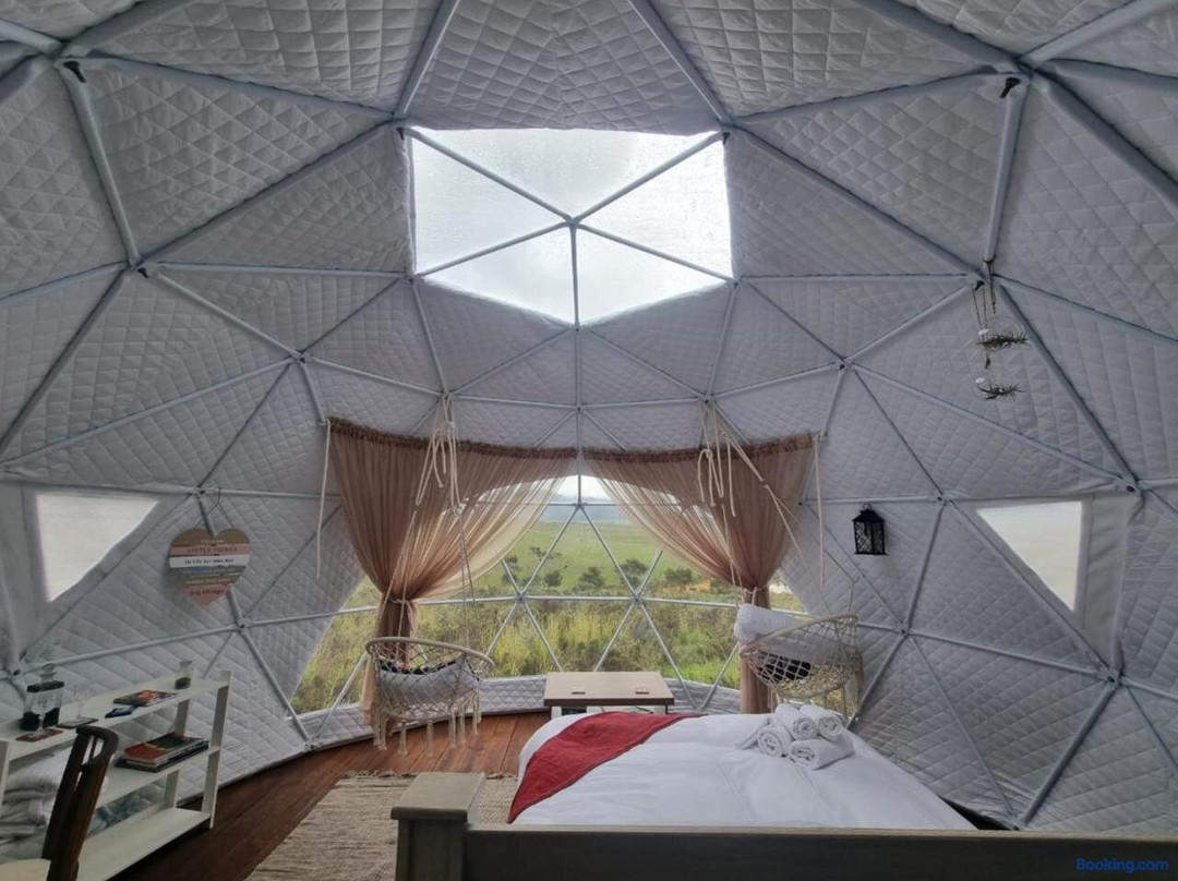 POM Gratz - EcoDomes