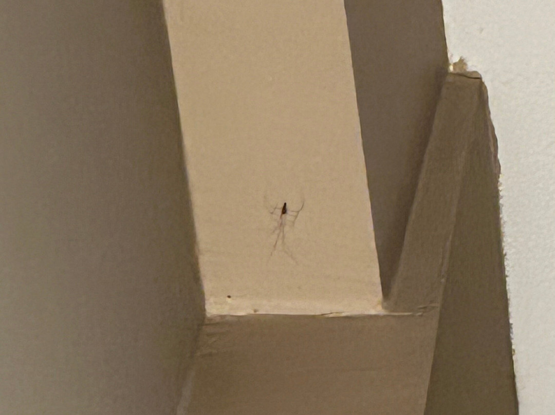 Aar Hotel & Spa Ioannina主图