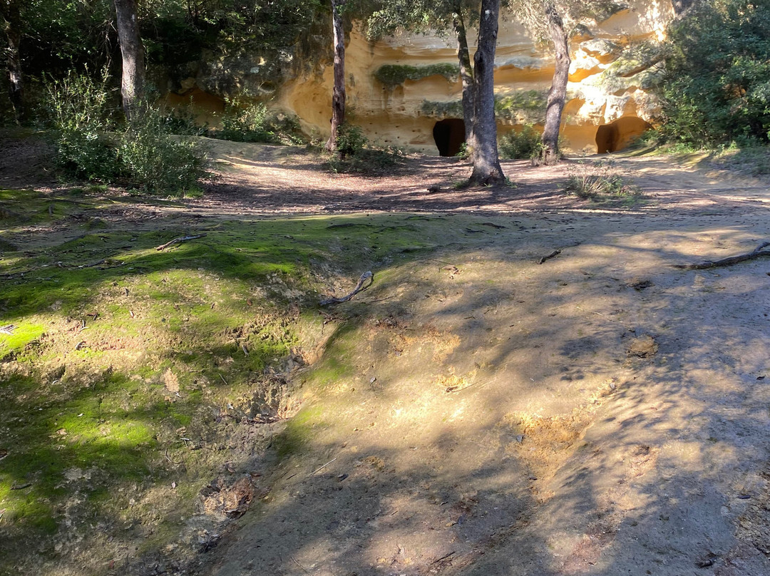 Grotte Gialle景点图片